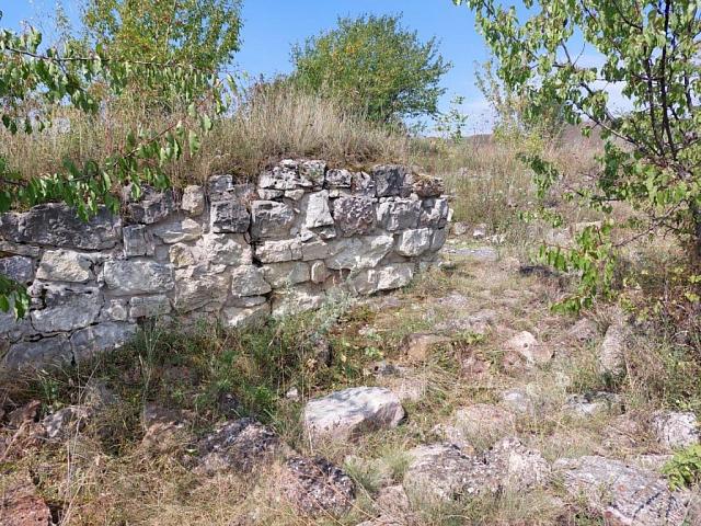 Жители Кисловодска нашли развалины средневекового замка