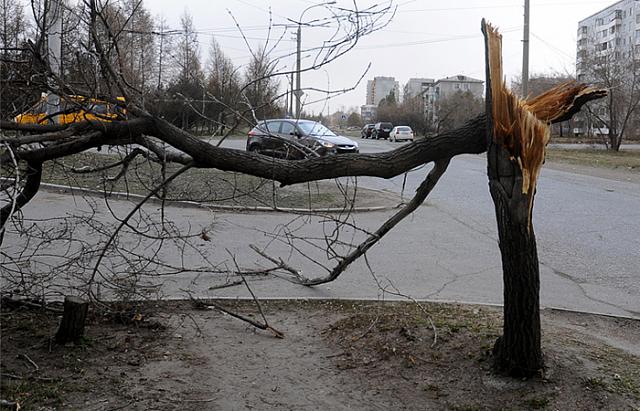 В Ставрополе из-за ветра перевернулась машина: видео   