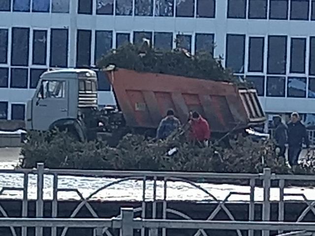 Возле Цирка в Ставрополе демонтировали красавицу-елку 