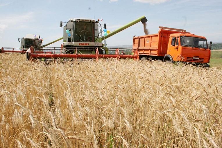 Партнерство с Россельхозбанком - фактор эффективного развития агробизнеса на Ставрополье