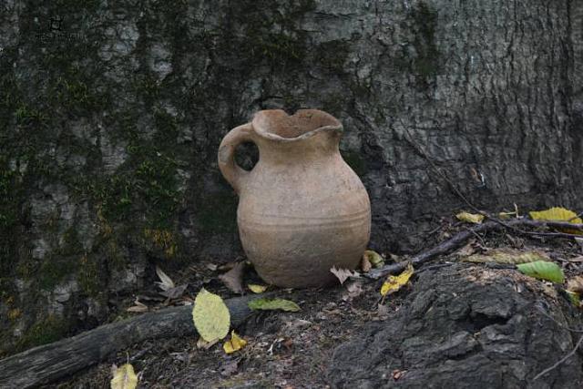 Аланский могильник и позднекобанское поселение нашли в Ингушетии