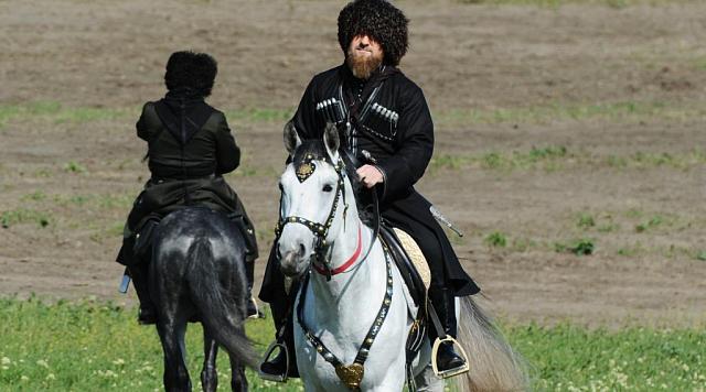 Житель ОАЭ пострадал из-за того, что тренировал лошадь Кадырова 