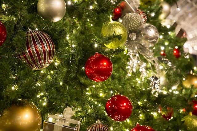 В Ставрополе установят новогоднюю елку почти за 50 миллионов рублей