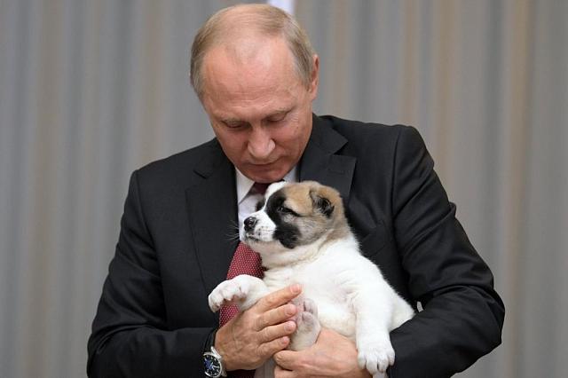 Путин поручил вести учет домашних животных на законодательном уровне 