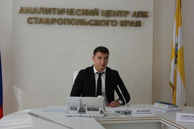 Новым министром экономического развития Ставрополья стал Денис Полюбин 