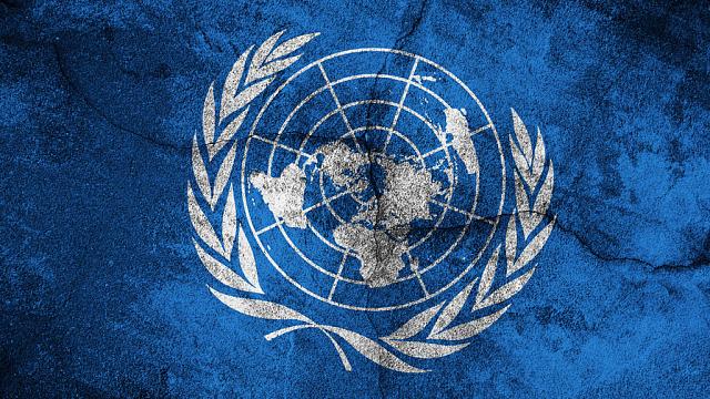 На Генассамблее ООН приняли резолюцию о приостановке участия России в СПЧ
