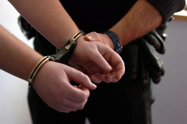 Задержаны еще семь экстремистов по делу о подготовке теракта в полиции Кисловодска
