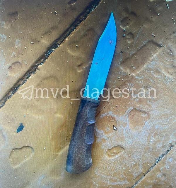 В Дагестане ученица девятого класса на уроке нанесла семь ножевых ран другой девочке 