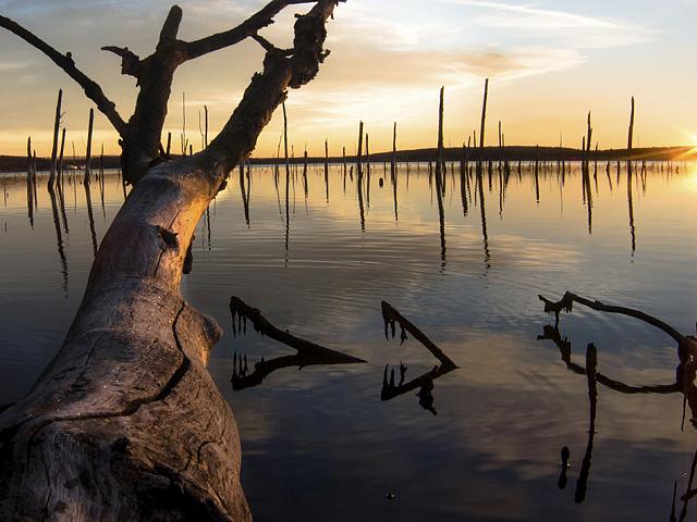 Целебному озеру Тамбукан на Кавминводах причинён серьёзный экологический вред  