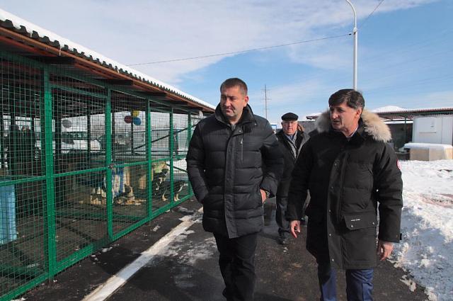 Во Владикавказе открылся новый приют для животных на 100 вольеров