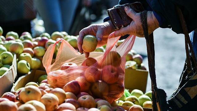 Еженедельные ярмарки по продаже местных продуктов организуют в Ингушетии