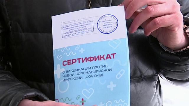 Жители Чечни продавали поддельные сертификаты о проведении прививок 