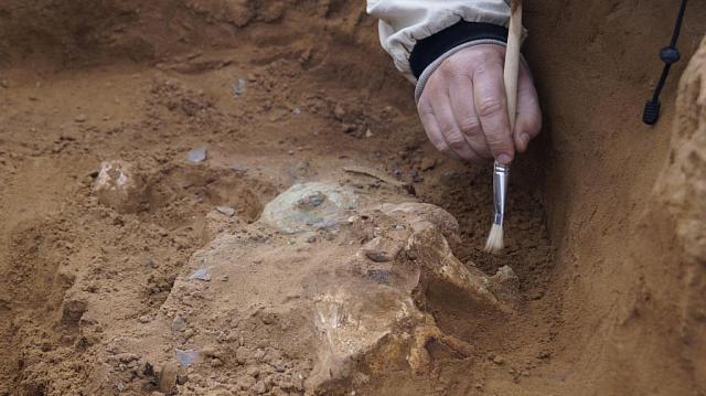 На месте строящейся в объезд Владикавказа трассы найдены древние могильники 