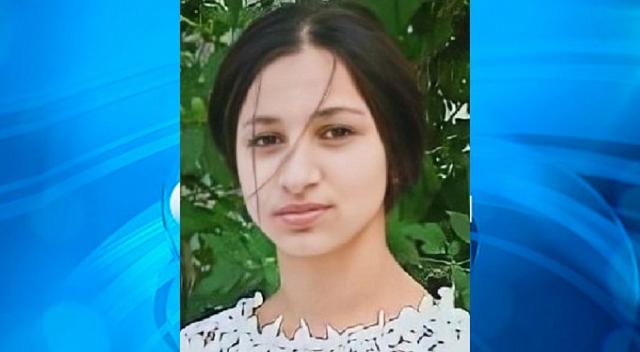 На Ставрополье полиция ищет без вести пропавшую 14-летнюю Диану Кузьменко