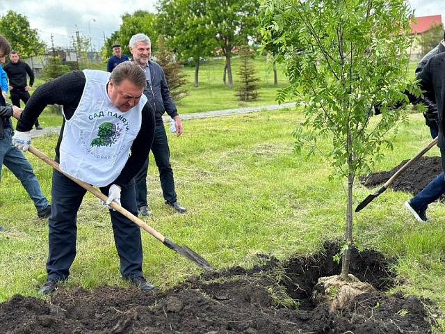 В Назрани в рамках акции «Сад памяти» посадят 150 деревьев