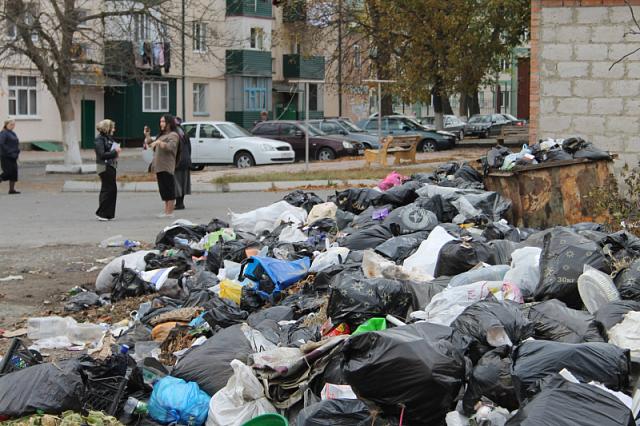 В Ингушетии «мусорную» компанию оштрафовали на 100 тысяч рублей