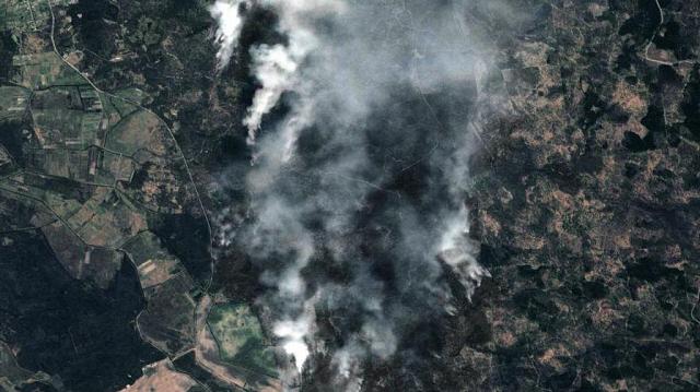В Дагестане уже неделю не могут потушить лесной пожар 