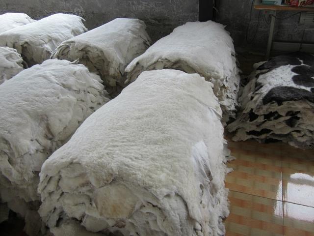 В порту Новороссийска задержали более 23 тонн овечьих шкур из Греции