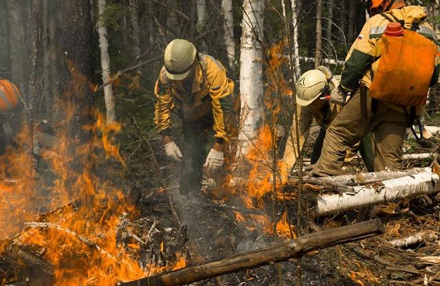 На Северном Кавказе не прогнозируется повышенных рисков возникновения и распространения лесных пожаров