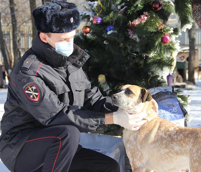 Сотрудники полиции помогли  безнадзорным животным в Ставрополе