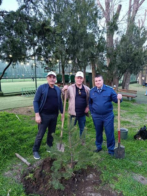 В столице Дагестана высадили более 100 деревьев в память о погибших на СВО дагестанцах