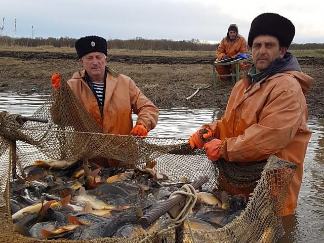 Ставропольские рыбоводы смогут увеличить производство рыбы