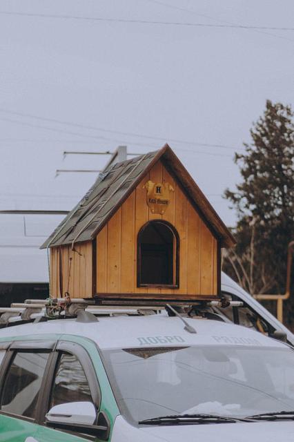 В центре Грозного установили домик для бездомных собак