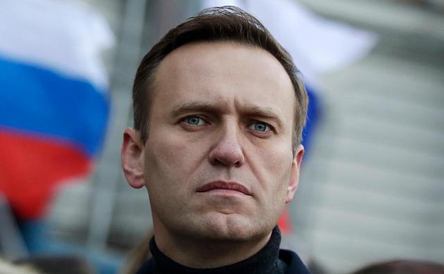 Навального могут обвинить в краже логотипа «Умного голосования» у ставропольской шерстяной компании