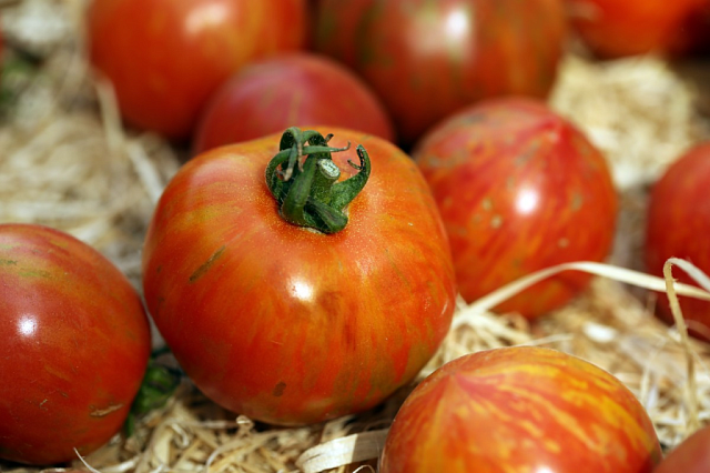 Рост цен на помидоры и огурцы стал признаком инфляции в России
