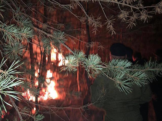 В Дагестане для борьбы с лесными пожарами организуют дежурство оперативных бригад