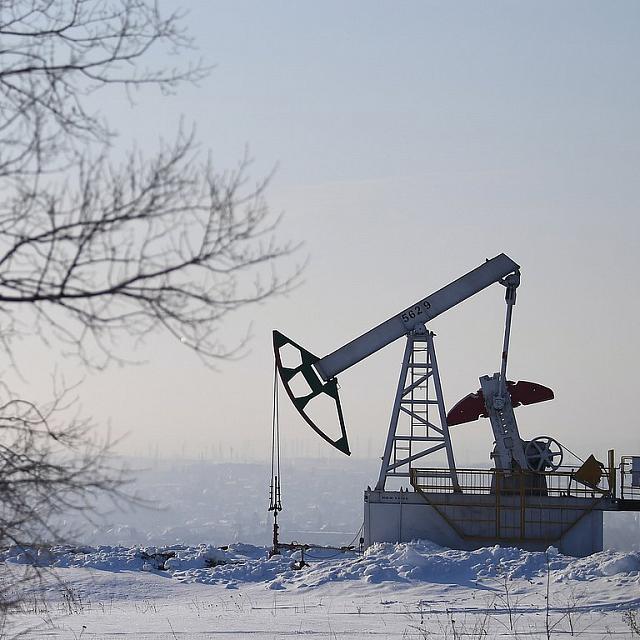 Новак - Путину: главная проблема - подорожание фрахта для поставок нефти  