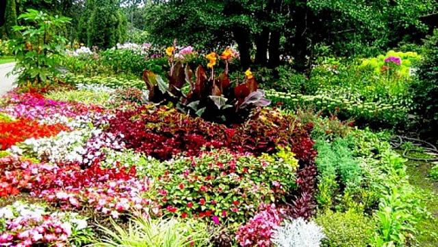 Во Владикавказе создадут ботанический сад для редких растений за 108 млн рублей