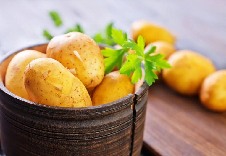 Более 50 сортов и 2 млн мини-клубней в год: как семеноводческий комбинат на Ставрополье выводит отечественный картофель