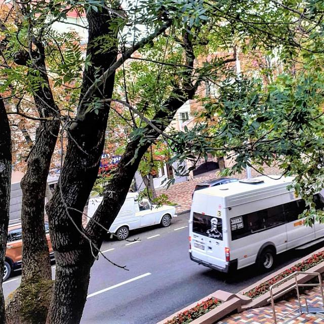 Власти прокомментировали подорожание проезда в одной из маршруток в Ставрополе  