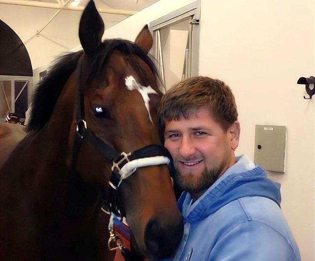Кадыров выкупил у украинских спецслужб похищенного коня Зазу за 18 тысяч долларов