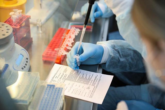 В Ставрополе откроют крупнейшую на Юге России лабораторию по изучению штаммов коронавируса