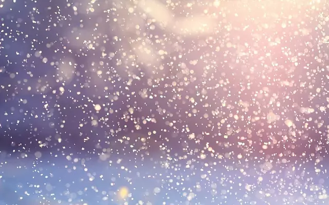 В Сочи отмечают международный День снега