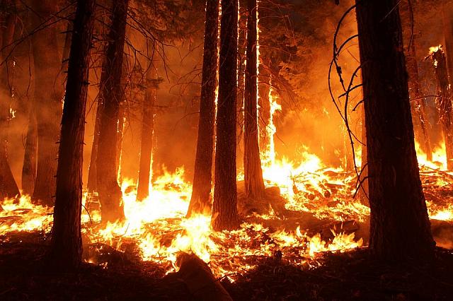 В Дагестане жители села задыхаются из-за лесного пожара