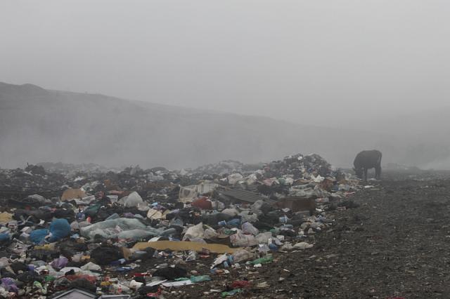 Минприроды Ингушетии: Регоператор вместо полигона отходов устроил несанкционированную свалку