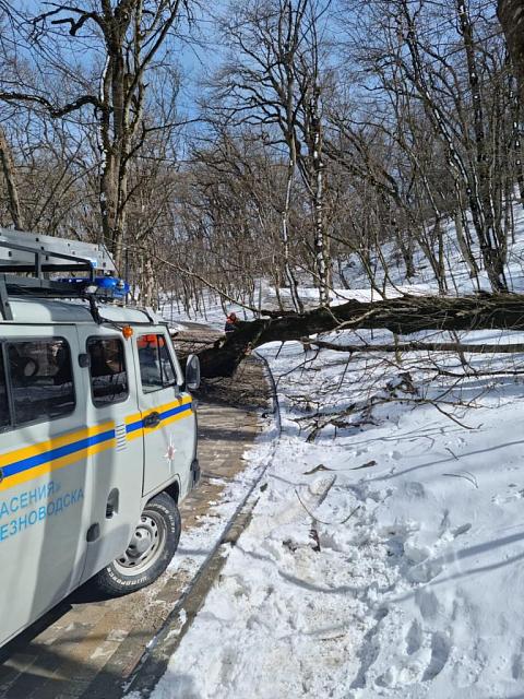 Дерево упало на двух отдыхающих из-за урагана в Железноводске