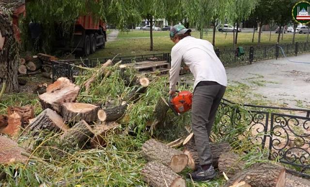 В Грозном на уборку поваленных ураганом деревьев вышли чиновники