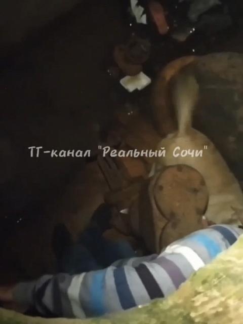 На улице Аэрофлотской в Сочи в канализационный люк упал лабрадор