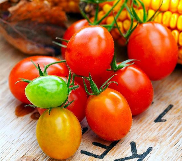 Ставропольский производитель томатов попал в ТОП-50