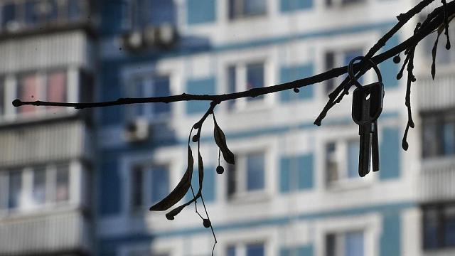 В Дагестане чиновника уволили за то, что он не сообщил о покупке квартиры 