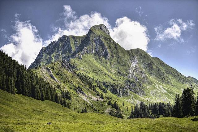 В горах Сочи продолжается поиск пропавшей 25 июня женщины