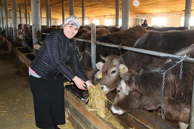 Жительница Степновского округа Ставрополья открыла первую семейную ферму
